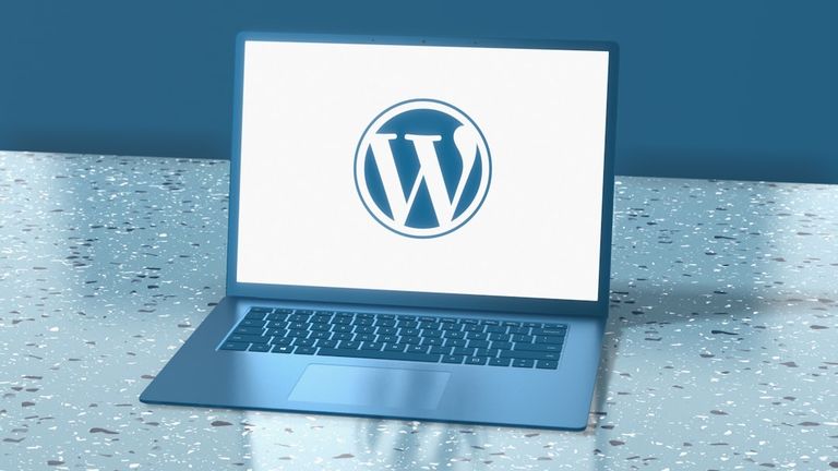 AIOSEO コクーン併用で迷わないWordPress設定術